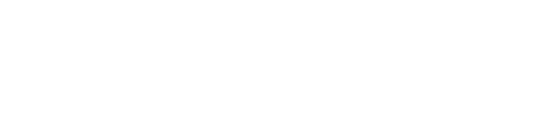 Velora Cases